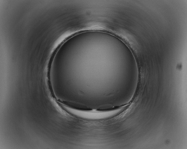 X0000098071422200804041115