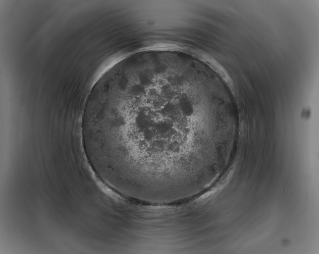 X0000098071425200804041115