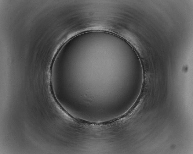 X0000098071428200804041115