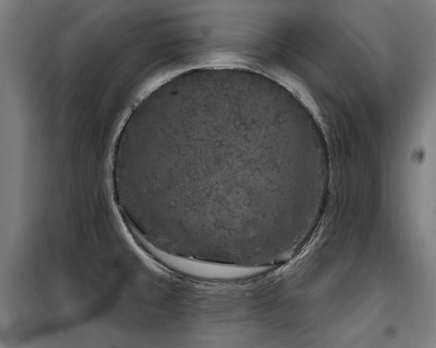 X0000098071429200804041115