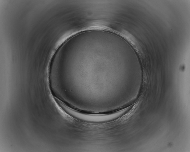X0000098071430200804041115