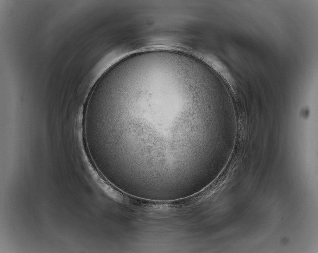 X0000098071431200804041115