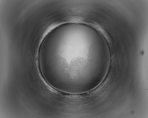 X0000098071432200804041115