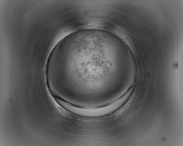 X0000098071434200804041115