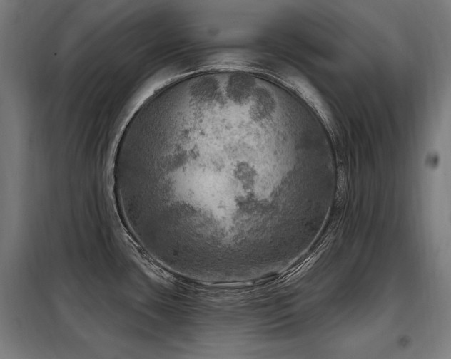 X0000098071435200804041115