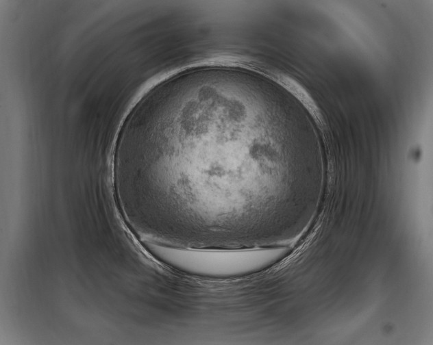 X0000098071436200804041115