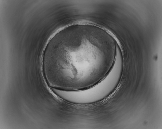 X0000098071437200804041115