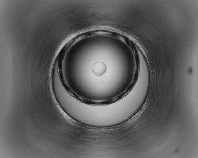 X0000098071438200804041115