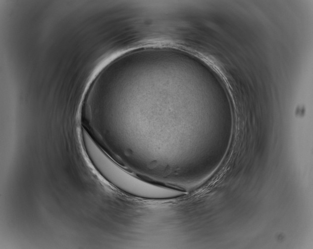 X0000098071440200804041115