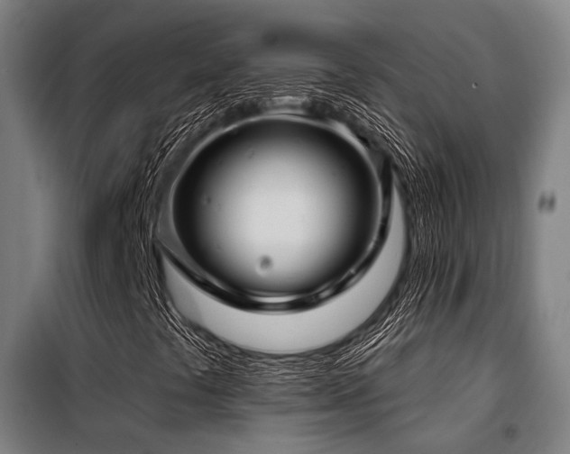 X0000098071441200804041114
