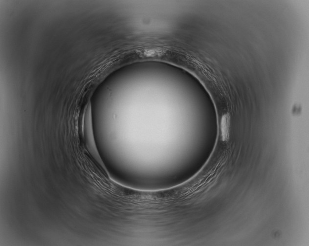 X0000098071443200804041114