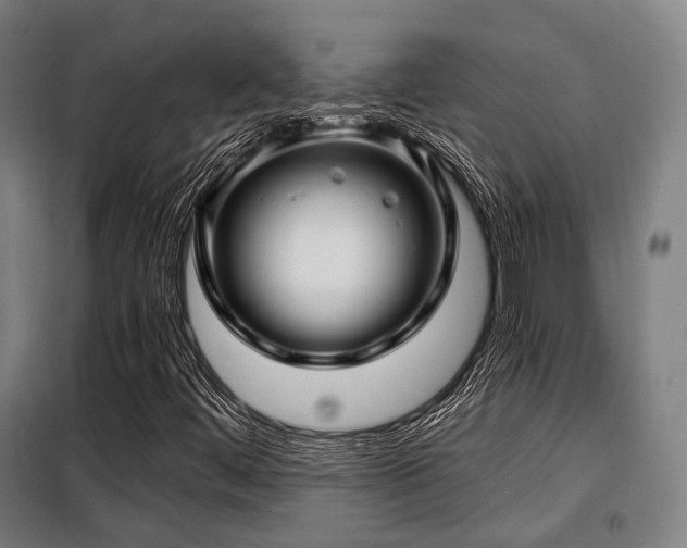 X0000098071444200804041114