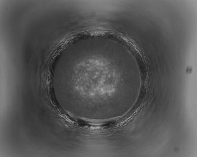 X0000098071445200804041114