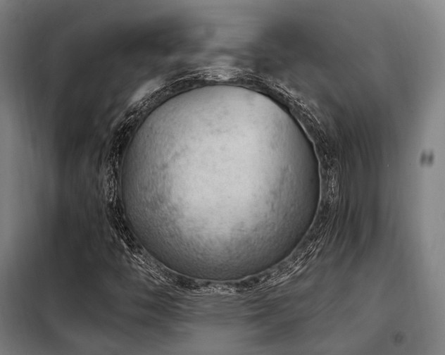 X0000098071446200804041114
