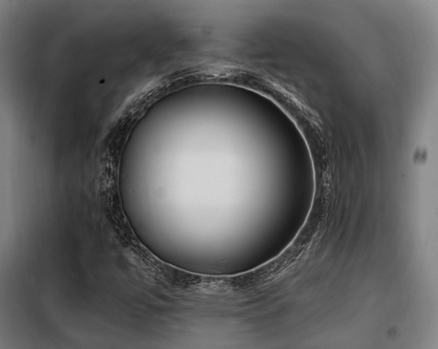 X0000098071447200804041114