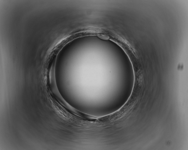 X0000098071448200804041114