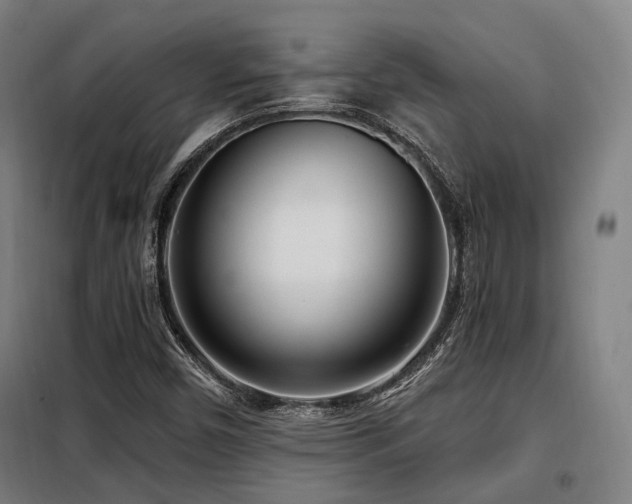 X0000098071450200804041114