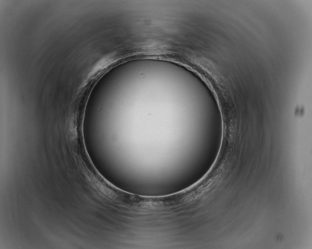 X0000098071451200804041114