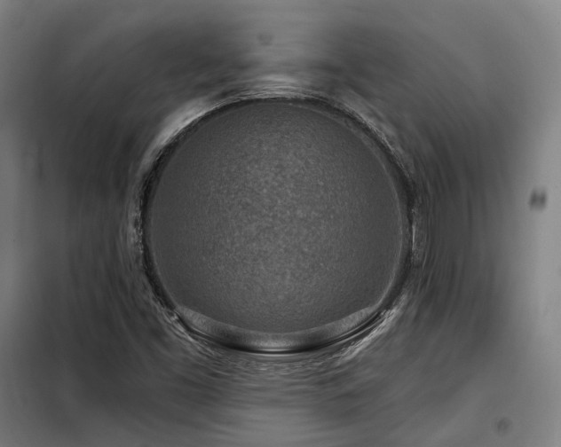 X0000098071453200804041114