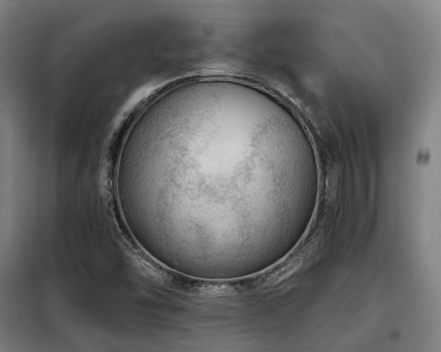 X0000098071454200804041114