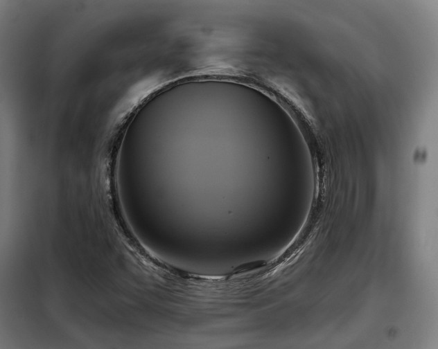 X0000098071455200804041114