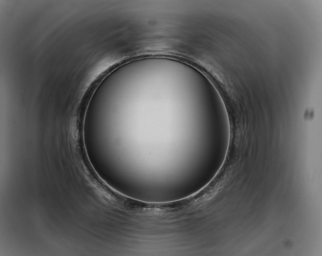 X0000098071458200804041114
