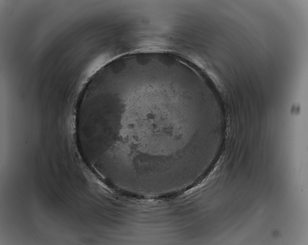 X0000098071459200804041114