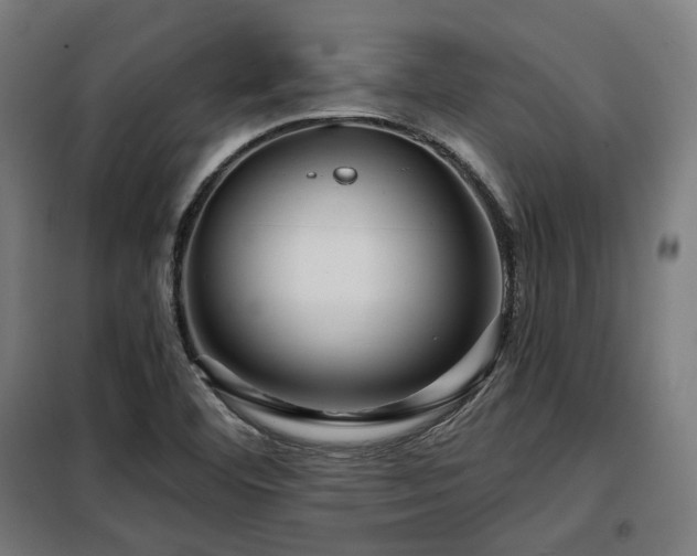 X0000098071460200804041114