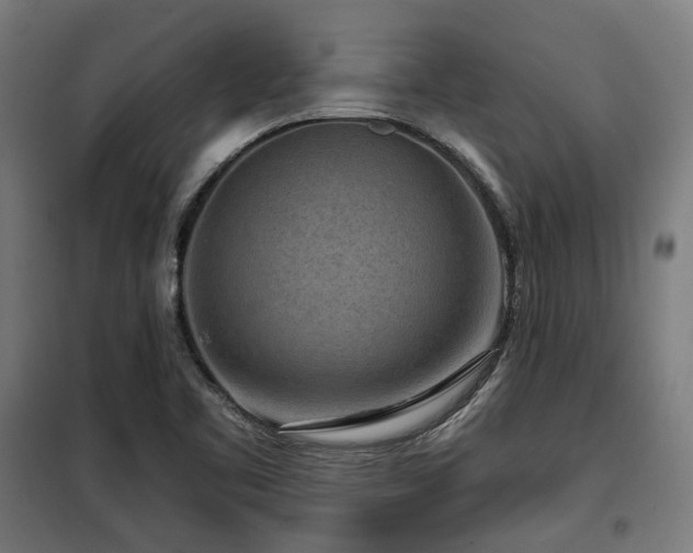 X0000098071461200804041114