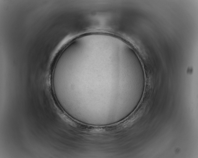 X0000098071462200804041114