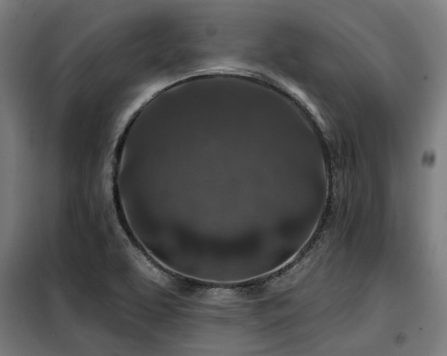 X0000098071463200804041114