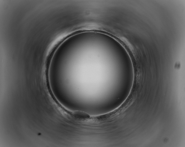 X0000098071464200804041114