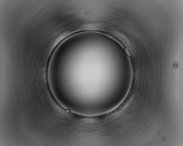 X0000098071465200804041114