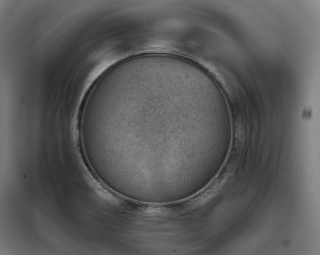 X0000098071466200804041114