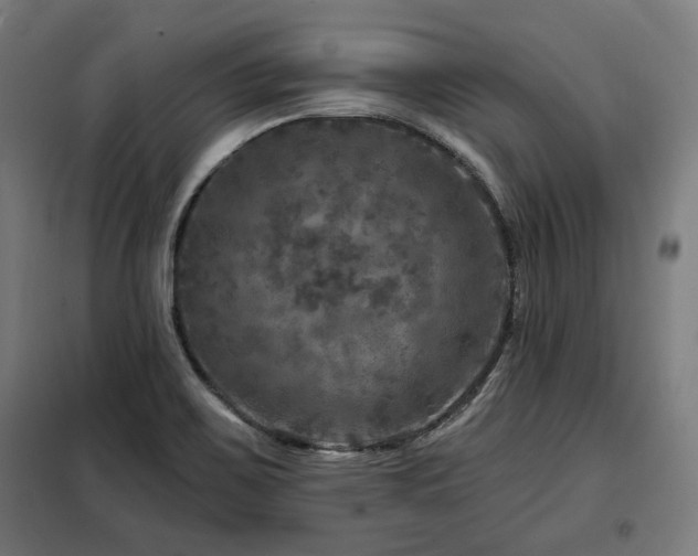 X0000098071467200804041114