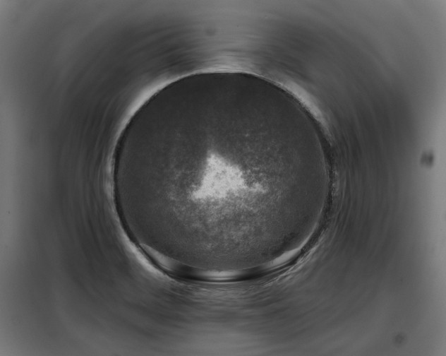 X0000098071468200804041114