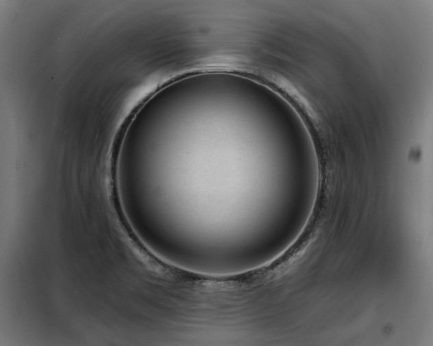 X0000098071469200804041114