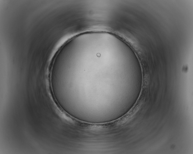 X0000098071470200804041114