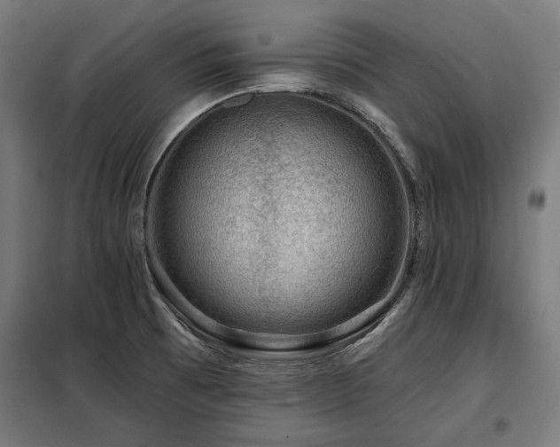 X0000098071473200804041114