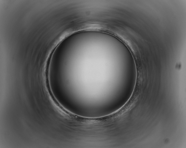 X0000098071475200804041114