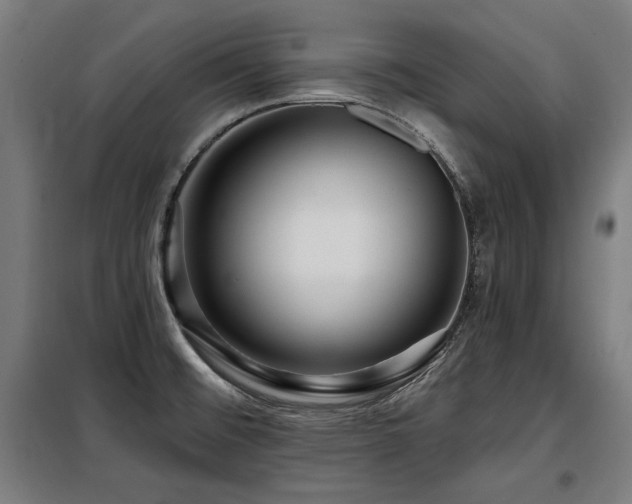 X0000098071476200804041114