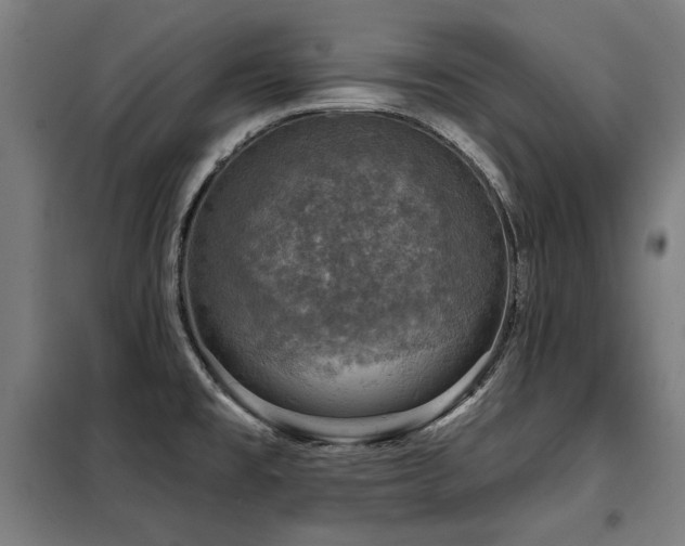 X0000098071477200804041114