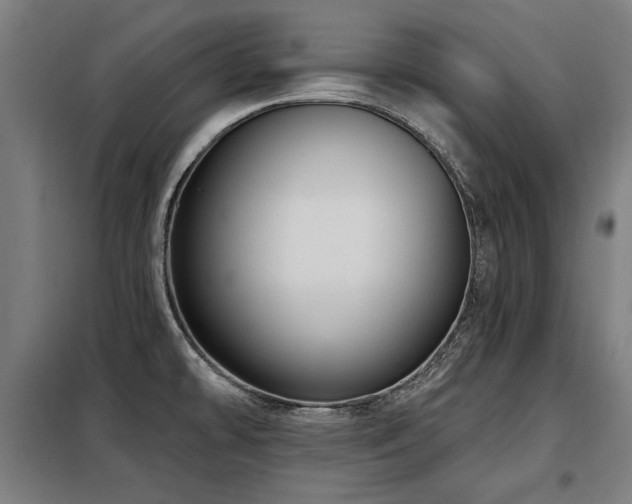 X0000098071478200804041114