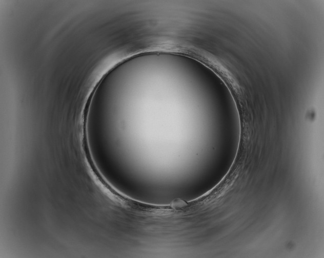 X0000098071479200804041114