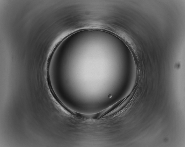 X0000098071480200804041114