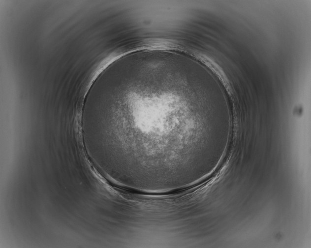 X0000098071481200804041114