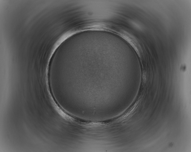 X0000098071482200804041114