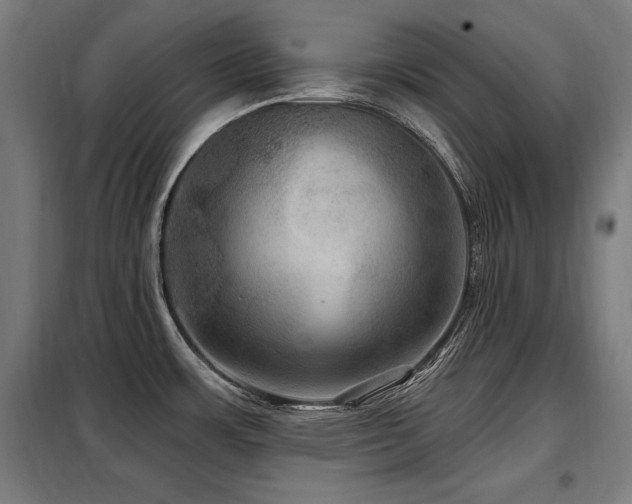 X0000098071483200804041114