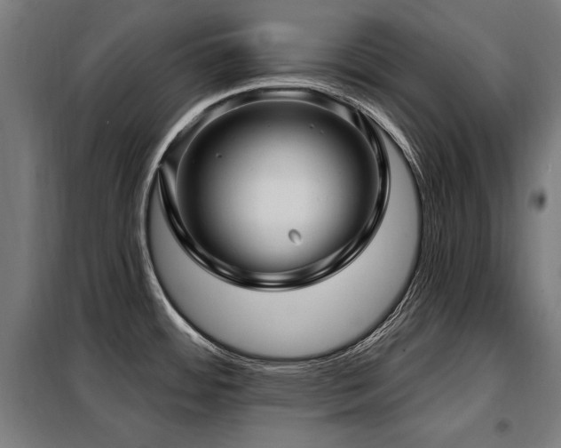 X0000098071484200804041114