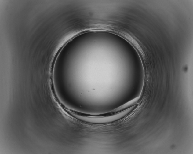 X0000098071485200804041114